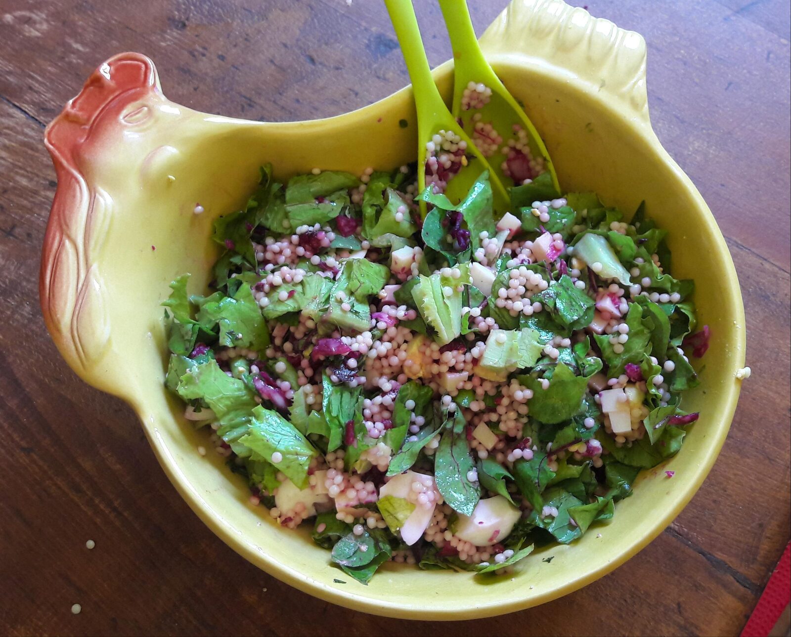 Salade laitue et petites betteraves du jardin