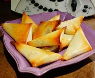 Samossa au poulet et légumes