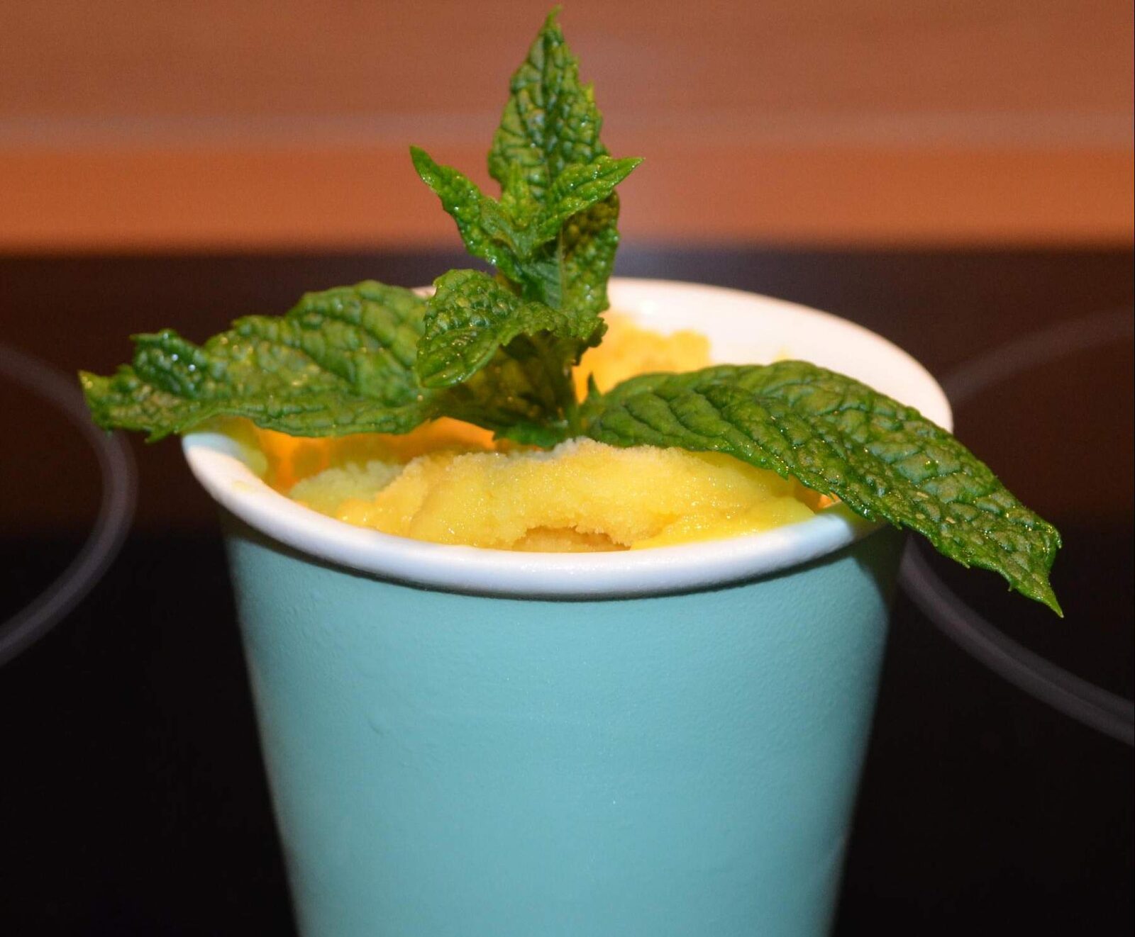 Sorbet Mangue Ananas des Iles