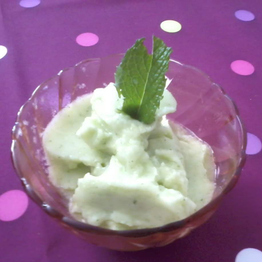 Sorbet Menthe et melon