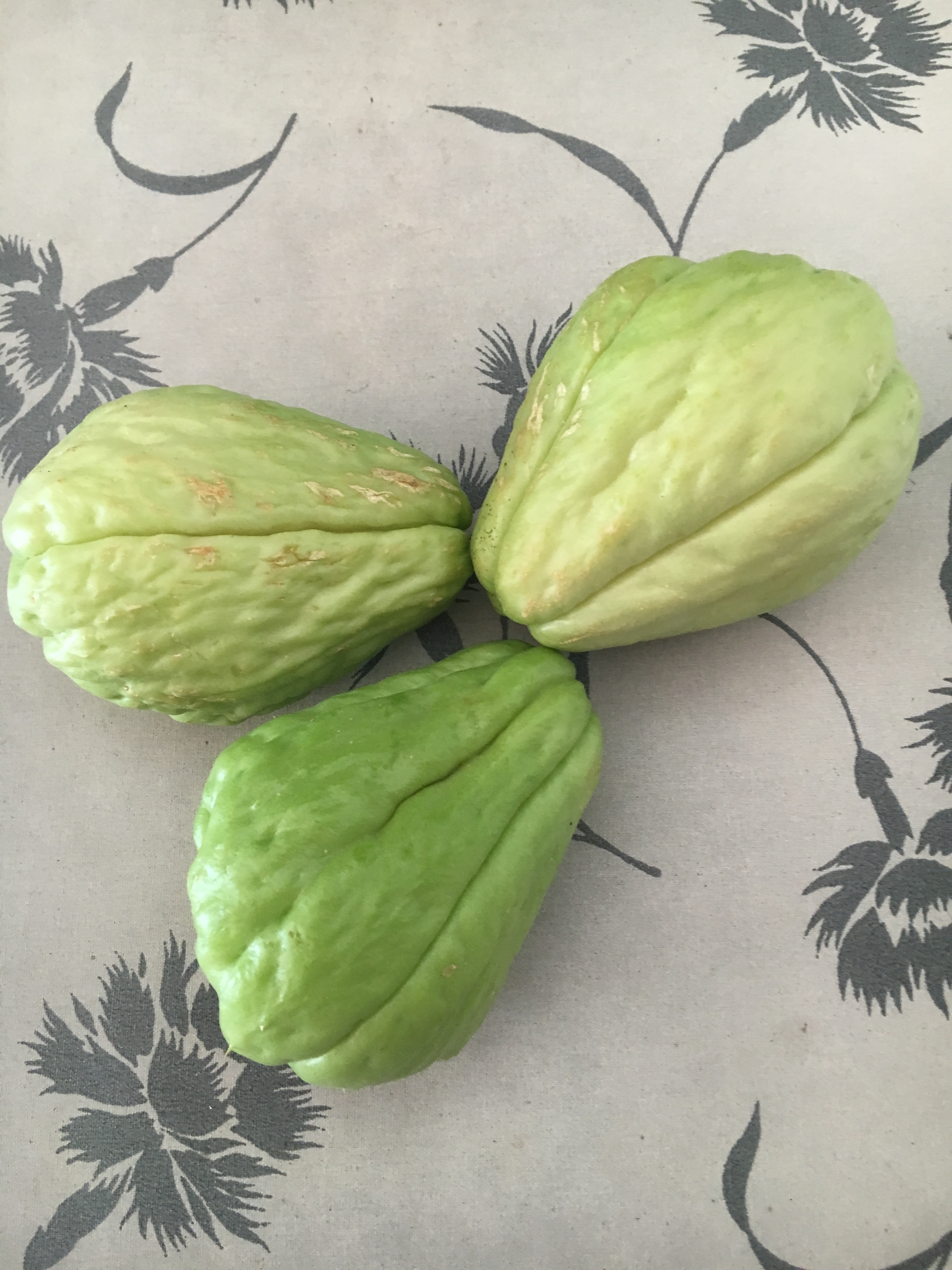 Soupe de chayottes (christophine, chouchou)