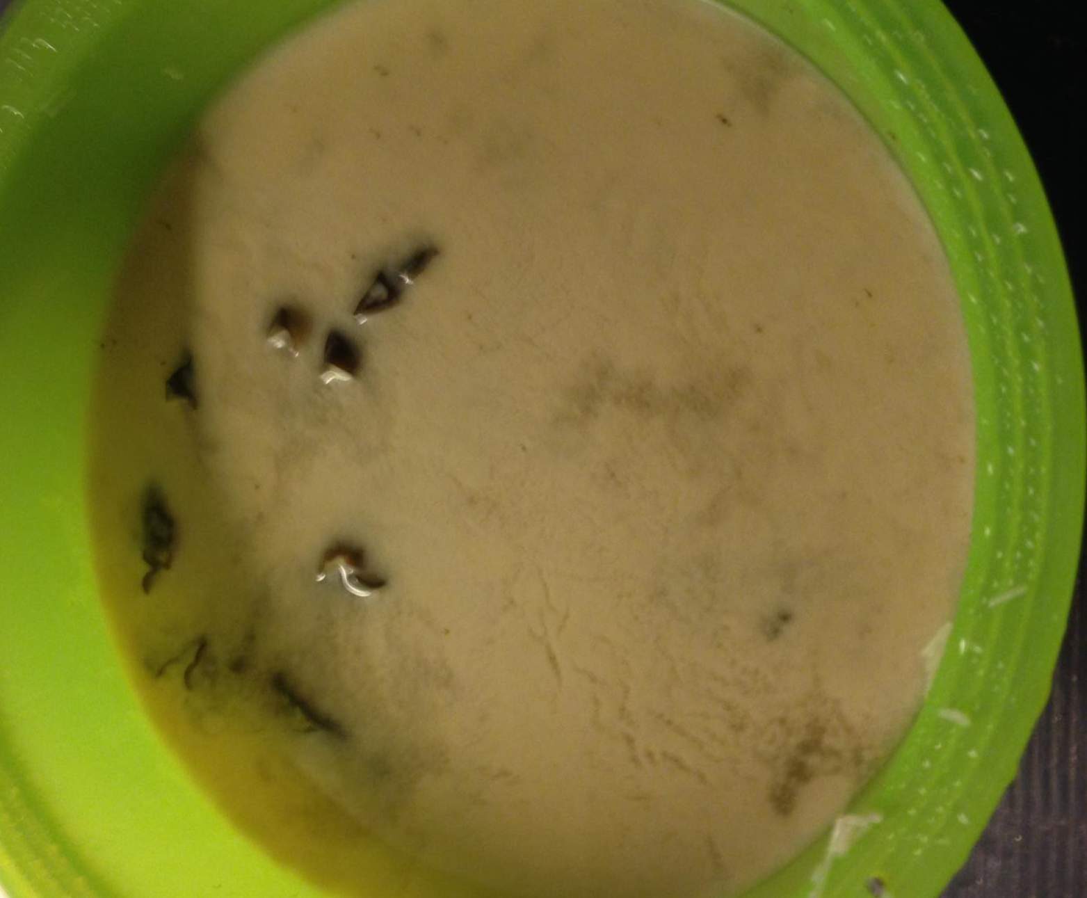 Soupe Thaï au lait de coco et aux crevettes