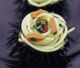 Spaghettis aux oursins