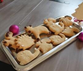 Spécial fêtes - Biscuits de Noël en pain d'épices