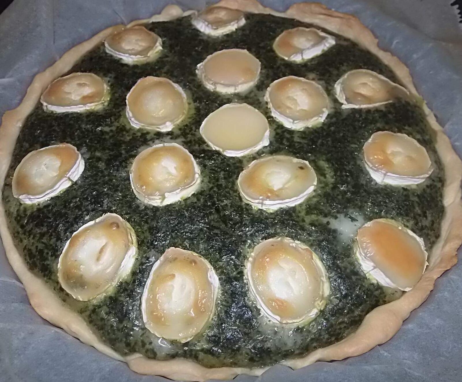 tarte épinard saumon chevre