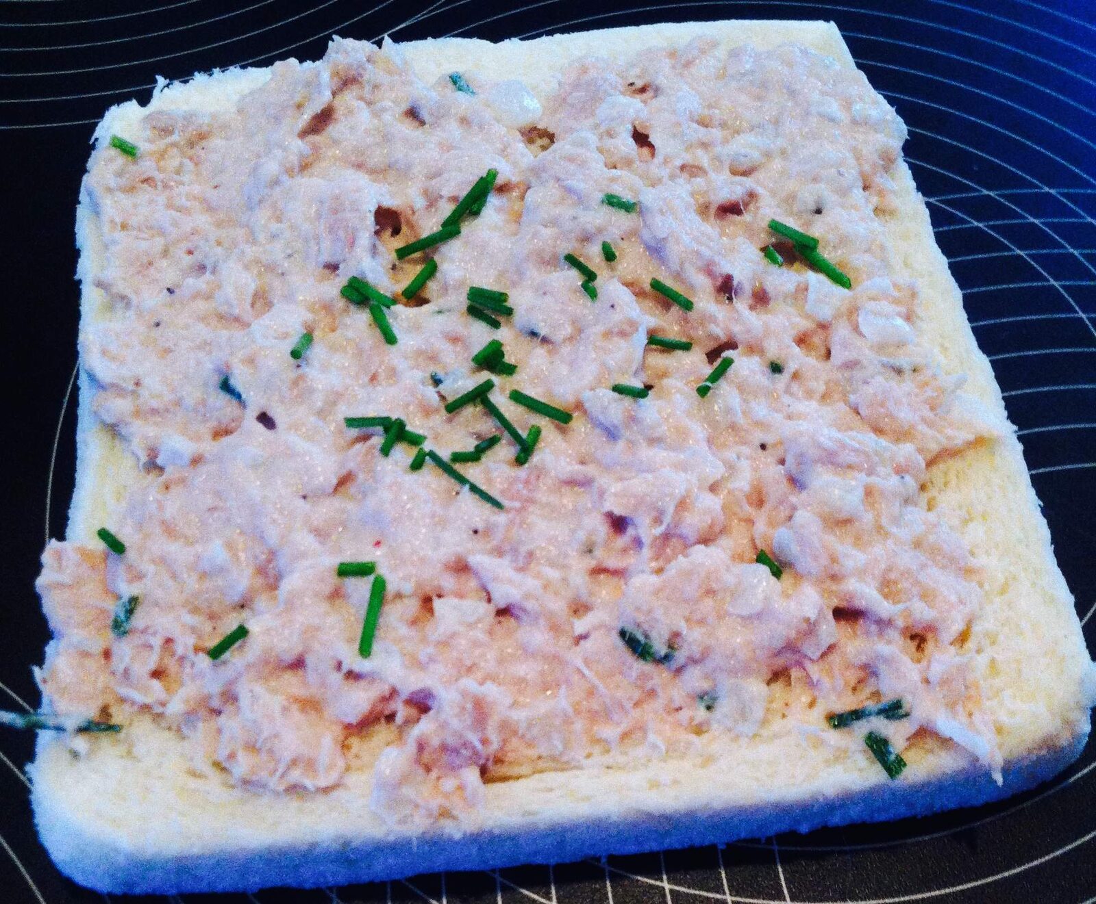 Tartinade de thon aux fromage frais, échalotes et ciboulette - 1 PP WW / 2 portions de 20 grammes