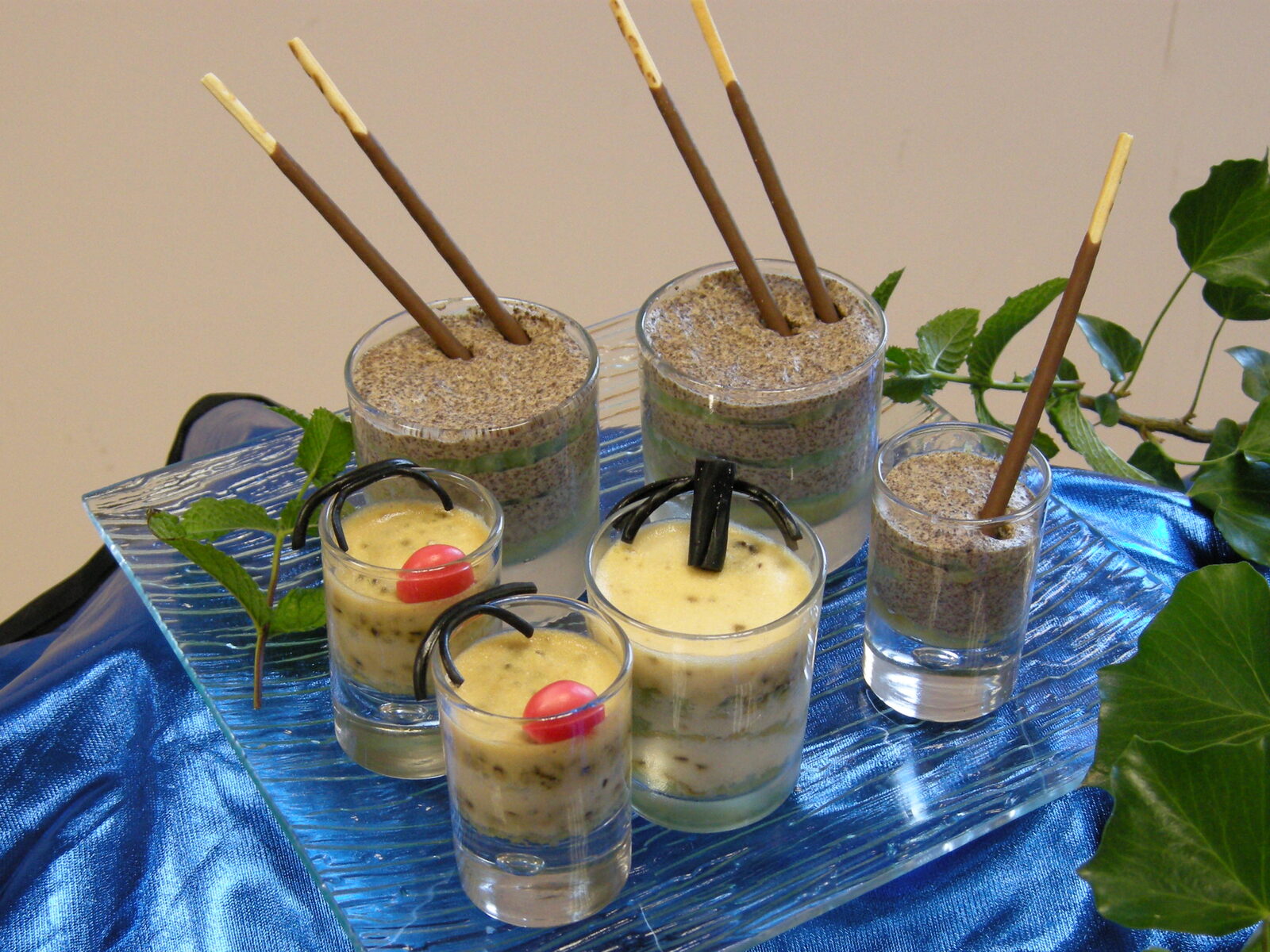 Tiramisu chocolat menthe