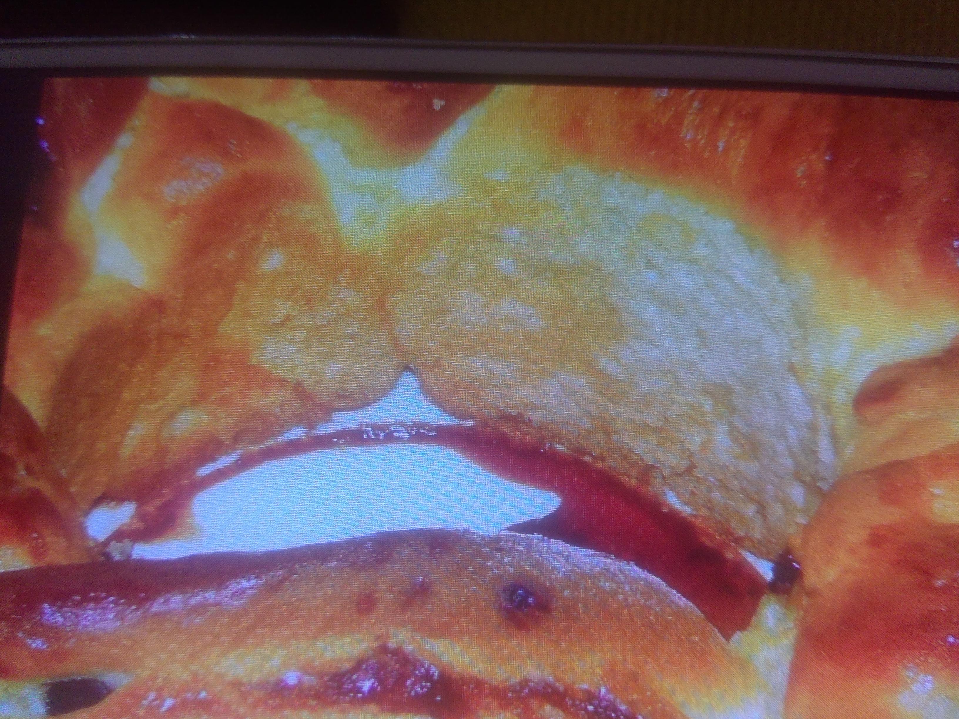 TORSADE A LA CR2ME PATISSIERE ET PEPITES CHOCOLAT