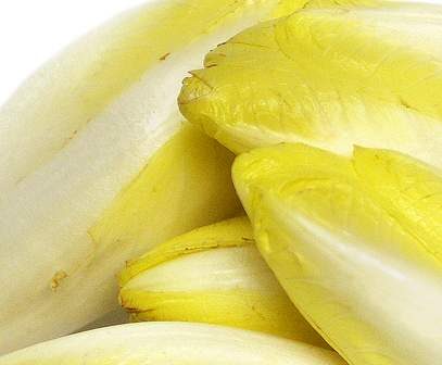 Velouté d'endives façon Gumsell Alsace