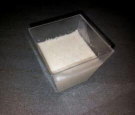 Velouté de champignons des champs