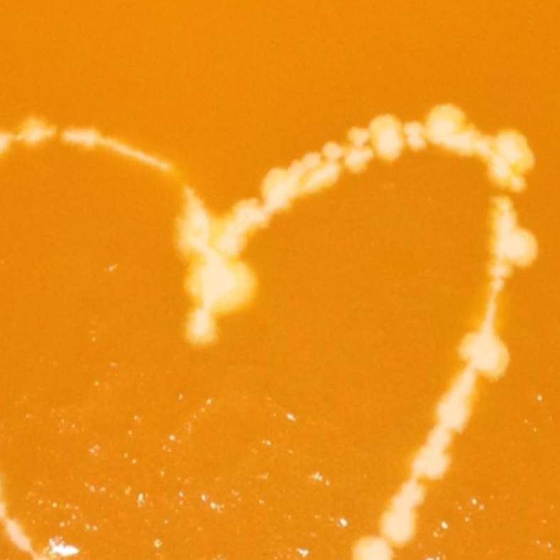 Velouté de courge (Muscade)