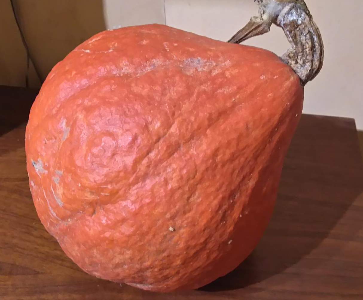 Velouté de potimarron et lardons