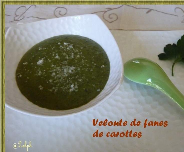 Veloutés de fanes de Carottes.
