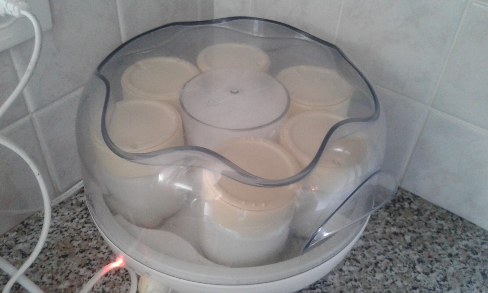 Yaourt au lait de chèvre