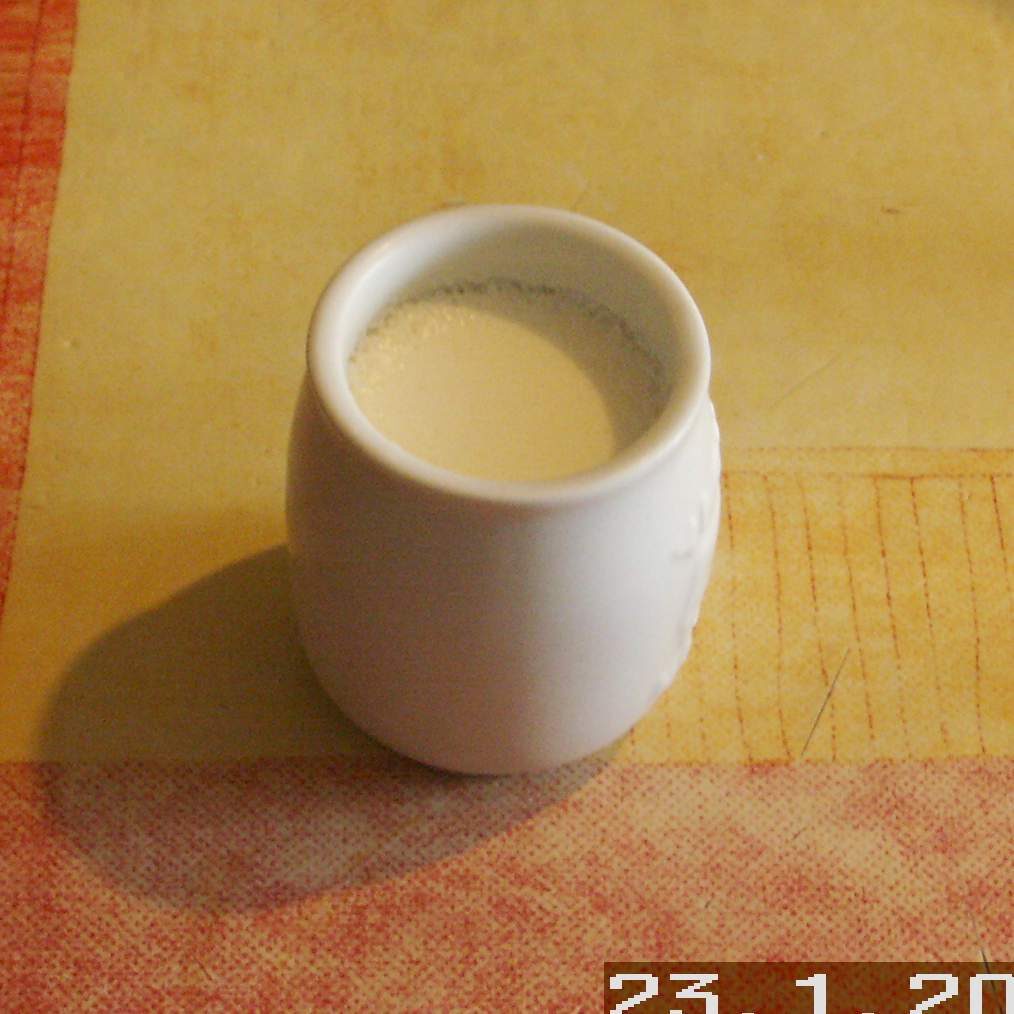 Yaourts natures onctueux sans yaourtière