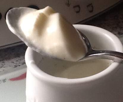 Yaourts sans yaourtière